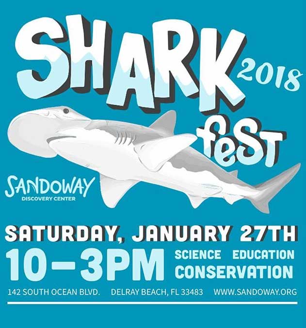 Sharkfest | Sandoway Discovery Center | Delray Mom