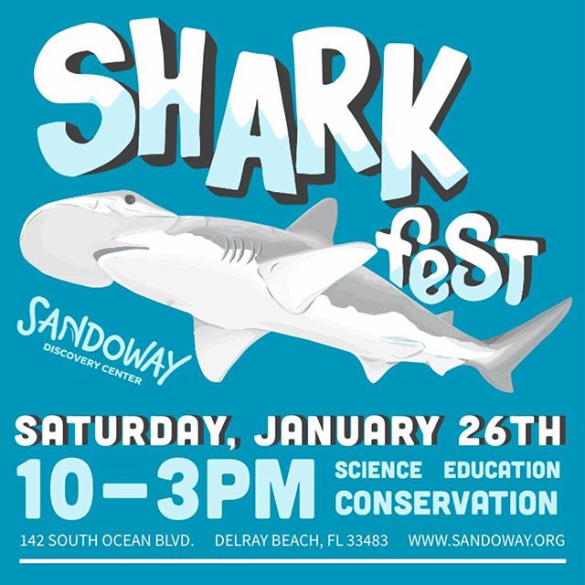 Sharkfest 2019 - Delray Beach Activities - Delray Mom